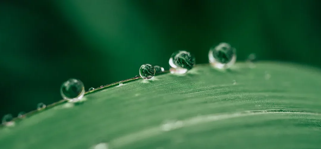 LU-VE Group is again confirmed among the “Sustainability Leaders 2025”