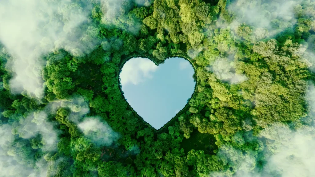 green-heart-forest