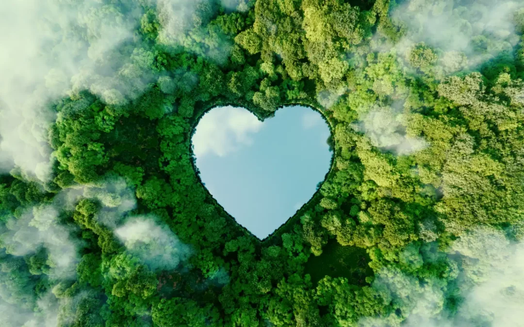 Natural and certified CO₂: past and future